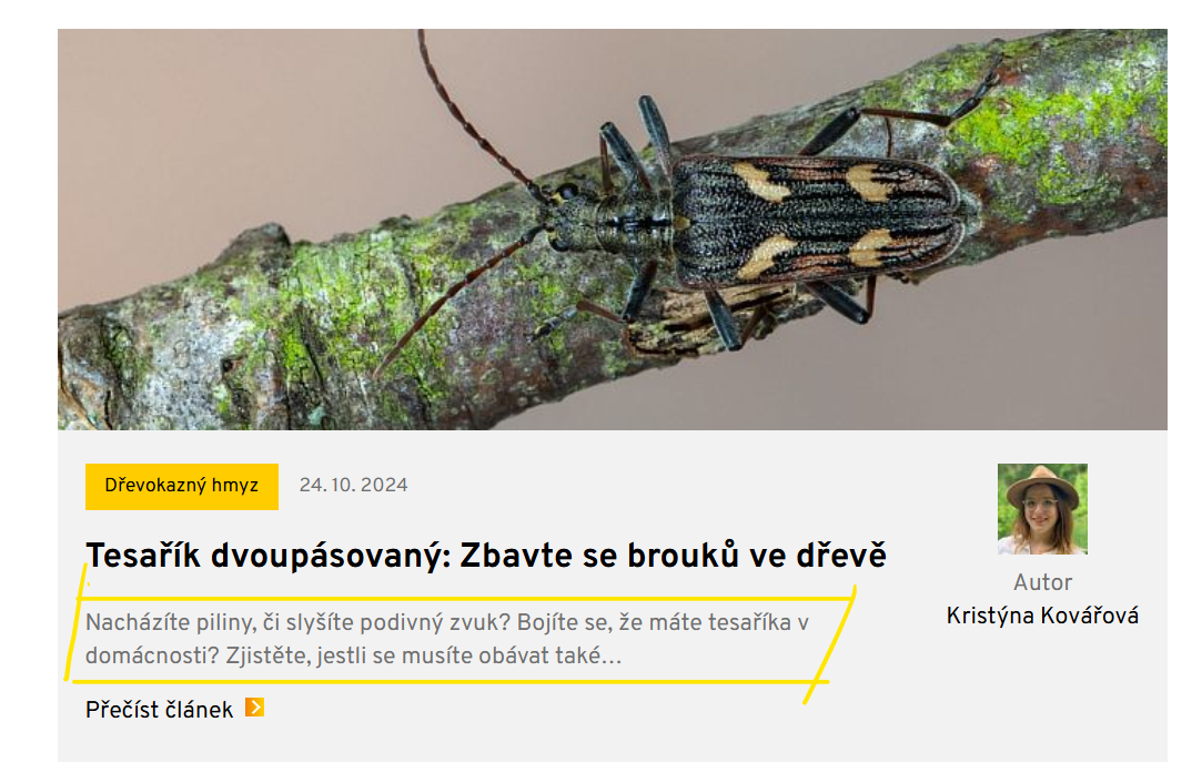 Perex u blogu